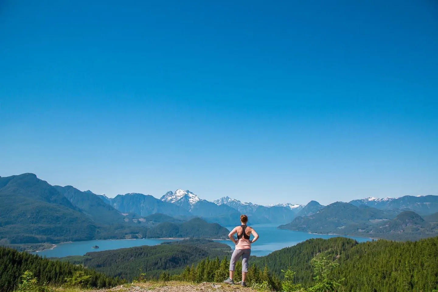 Workout Top image indicator(4)