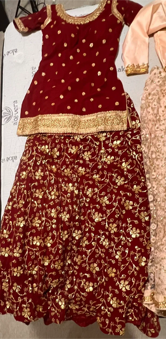 Lehngas/South Asian Dresses made in India - Size 34 image indicator(2)