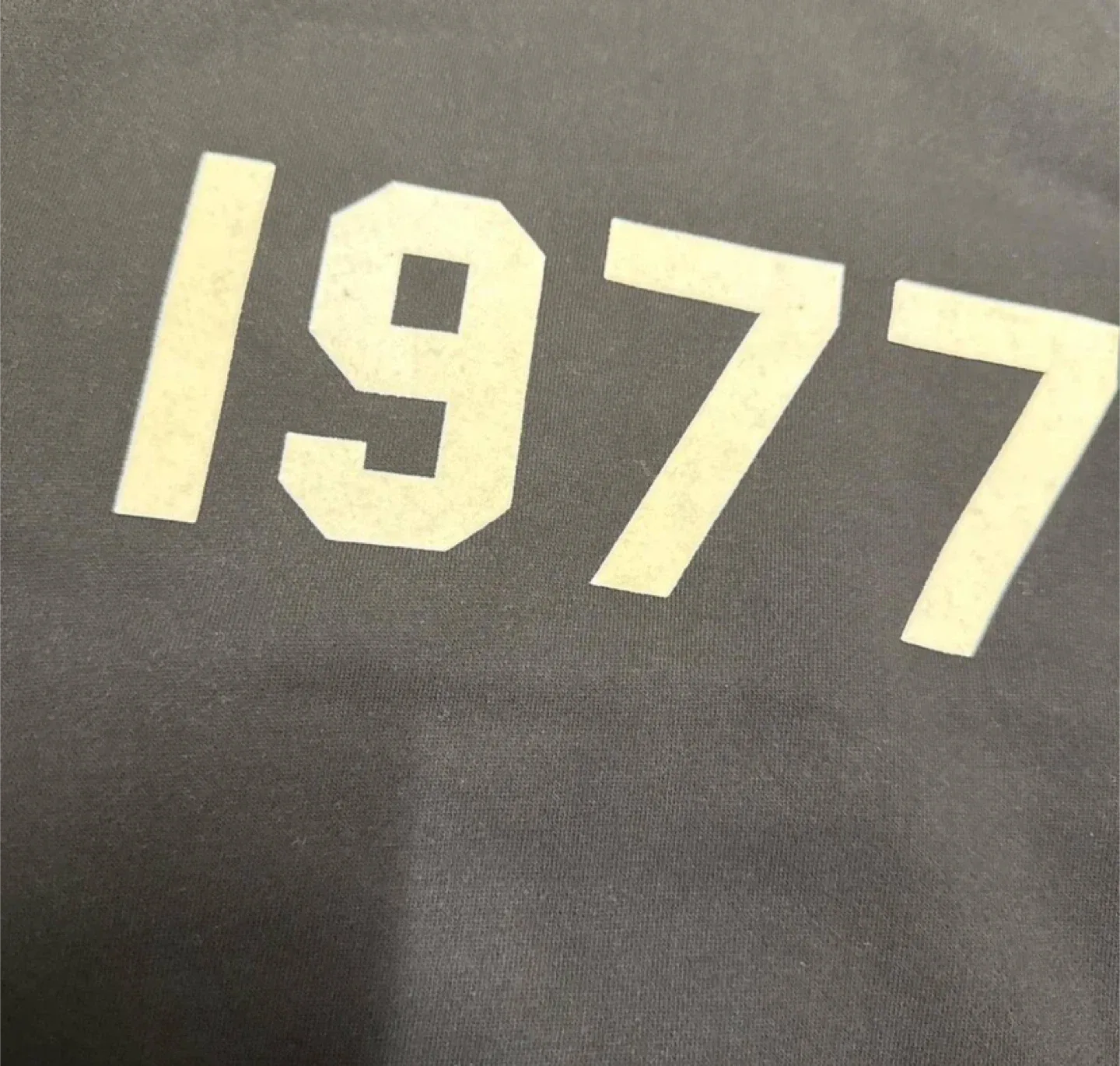 Fear Of God Essentials 1977 Hoodie Iron - NWT image indicator(2)
