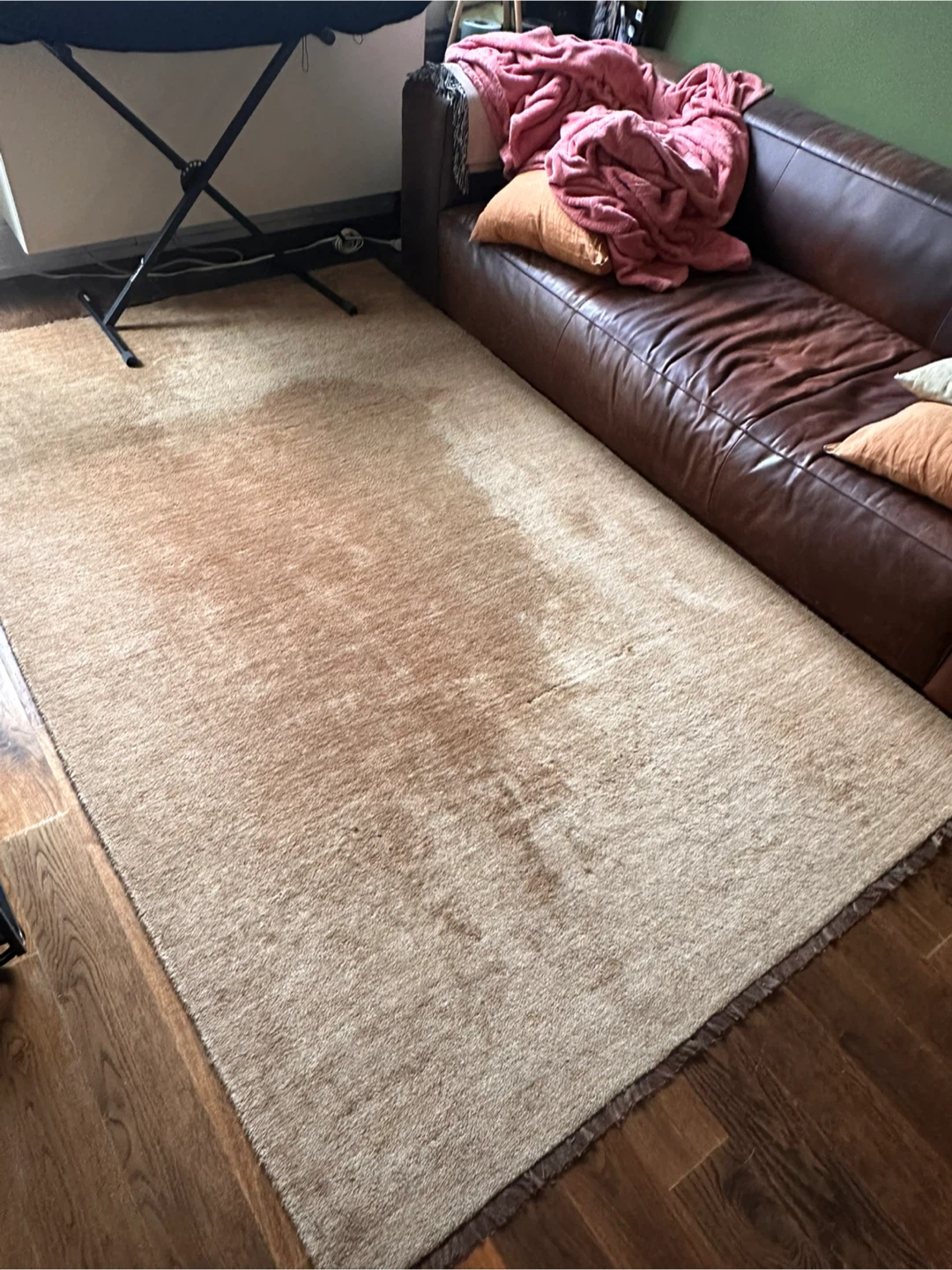 CB2 Carmel Brown Area Rug 5x8 feet