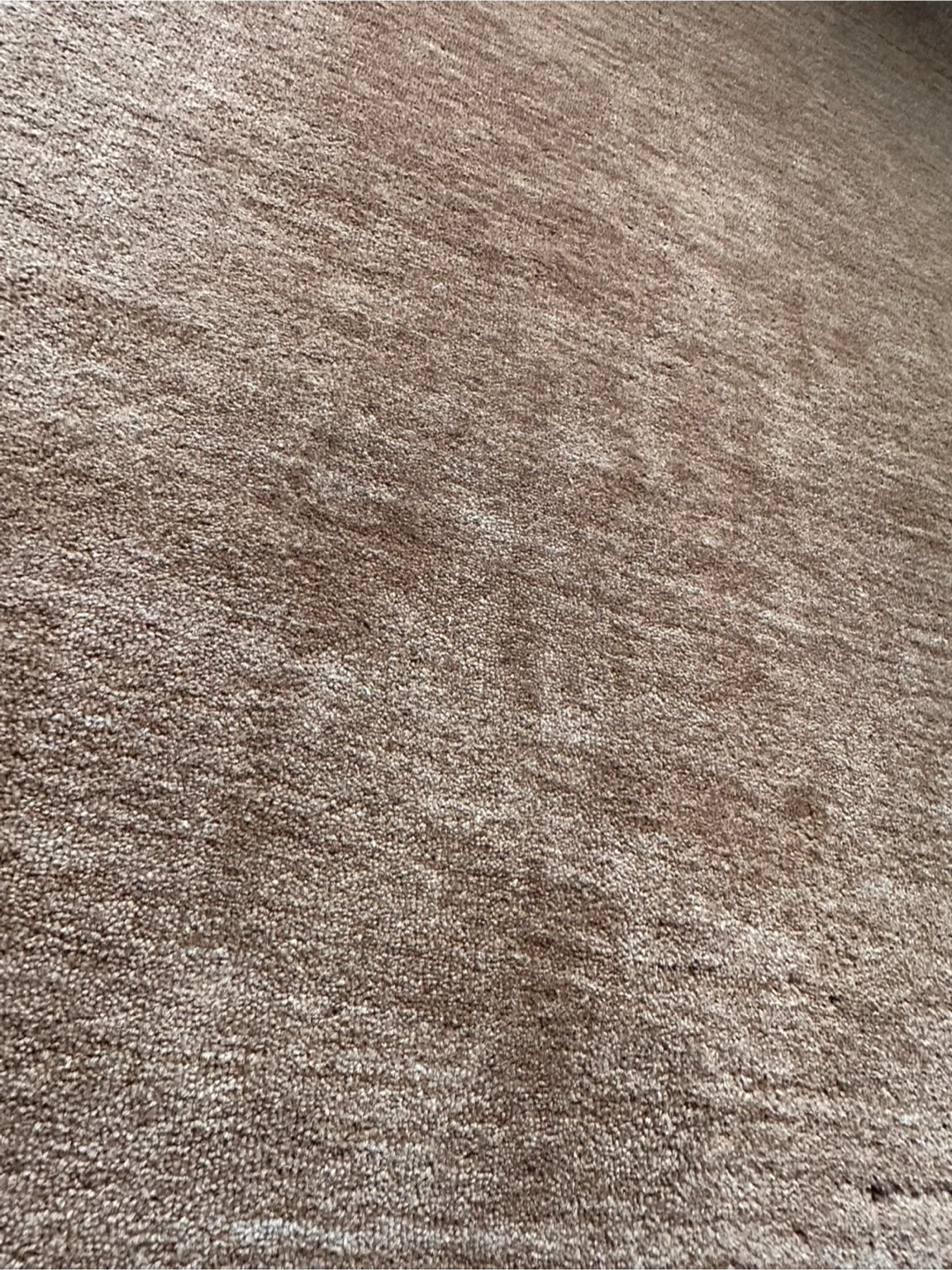 CB2 Carmel Brown Area Rug 5x8 feet - photo 2