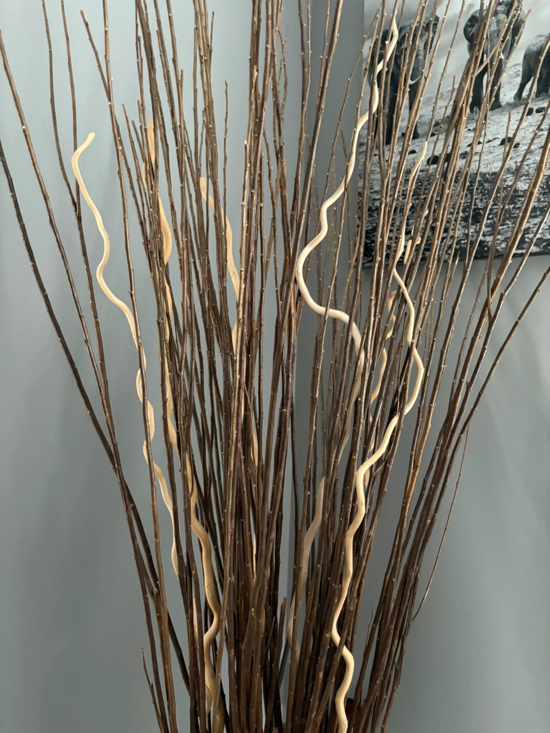 Decorative Branches in Glass Vase - photo 3