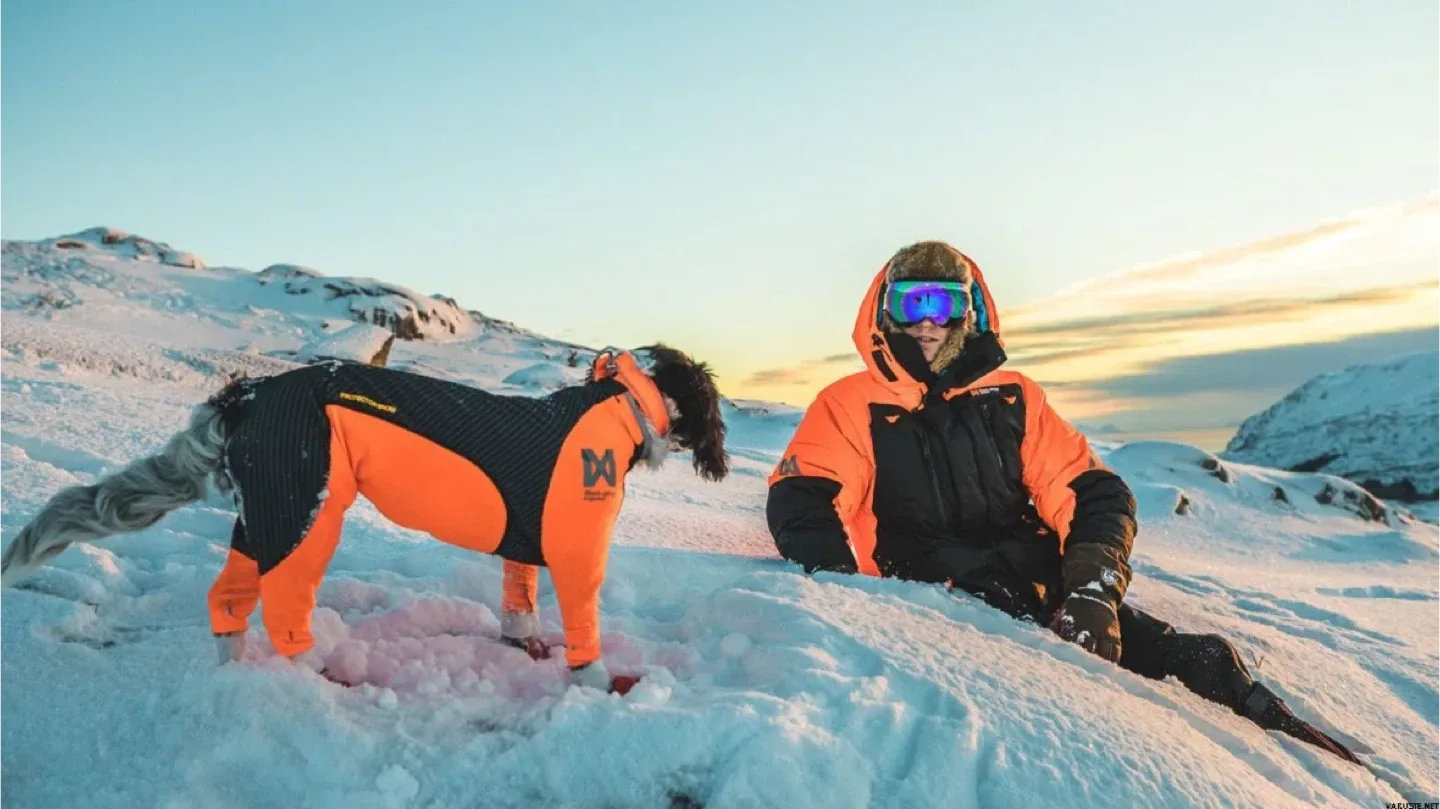 Non-stop Dogwear Snow Protector - Male, Medium image indicator(2)