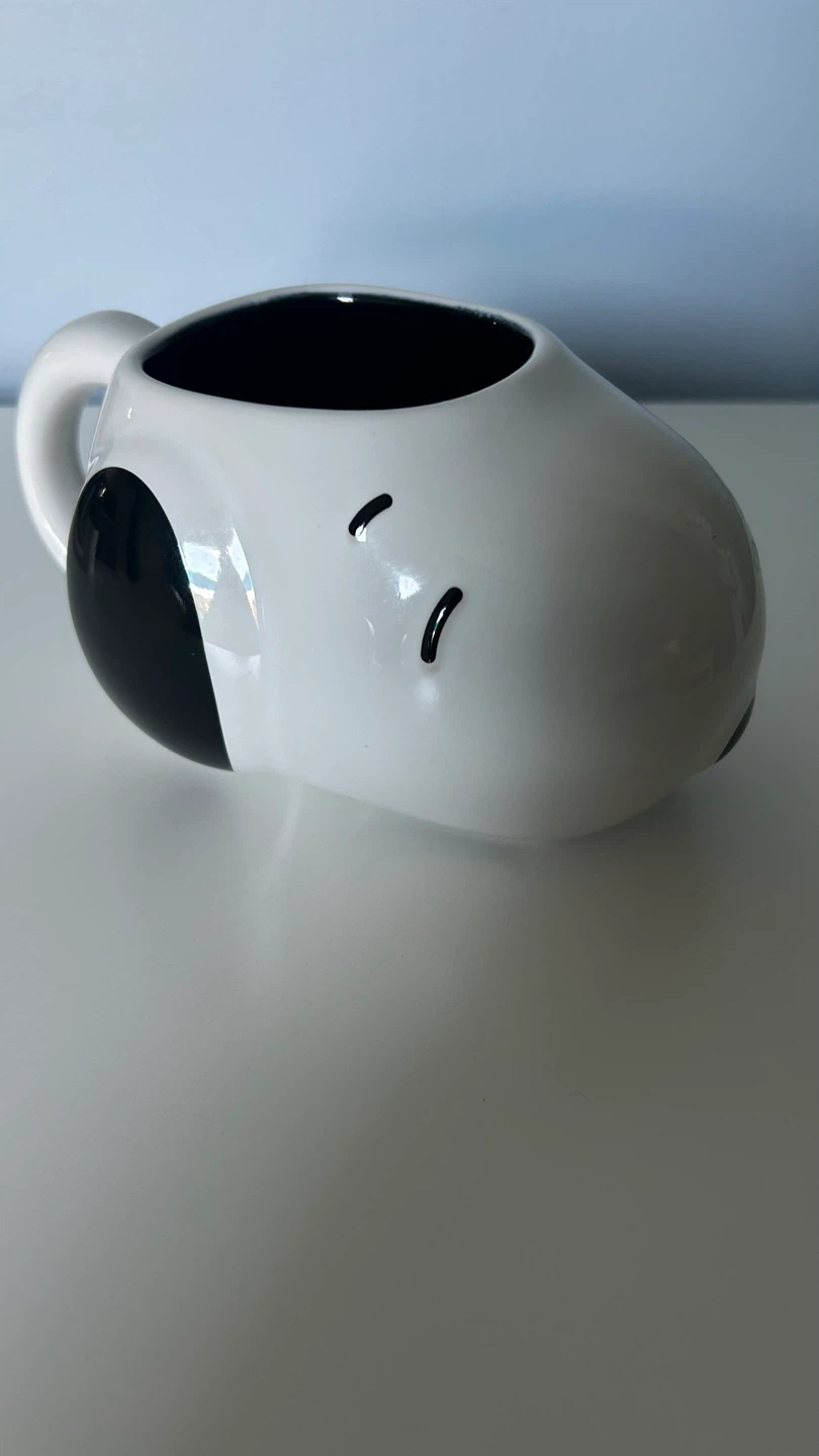 Snoopy Ceramic Mug/Plant Holder
