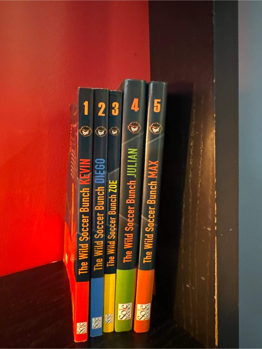 The Wild Soccer Bunch Book Series by Joachim Masannek - photo 2