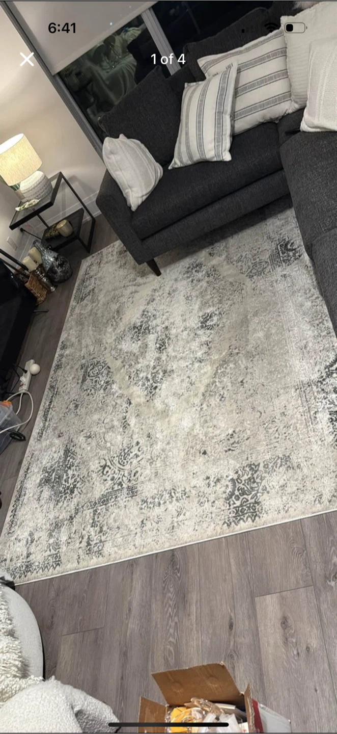 Rug 6.7 x 9.6