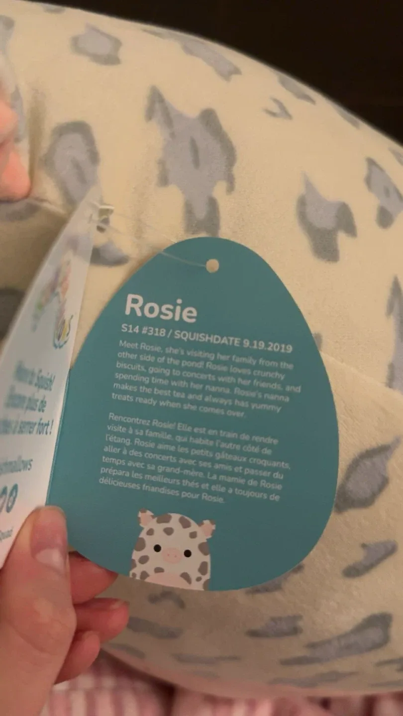 Squishmallows BNWT Rosie The Cow Plush 14” image indicator(5)