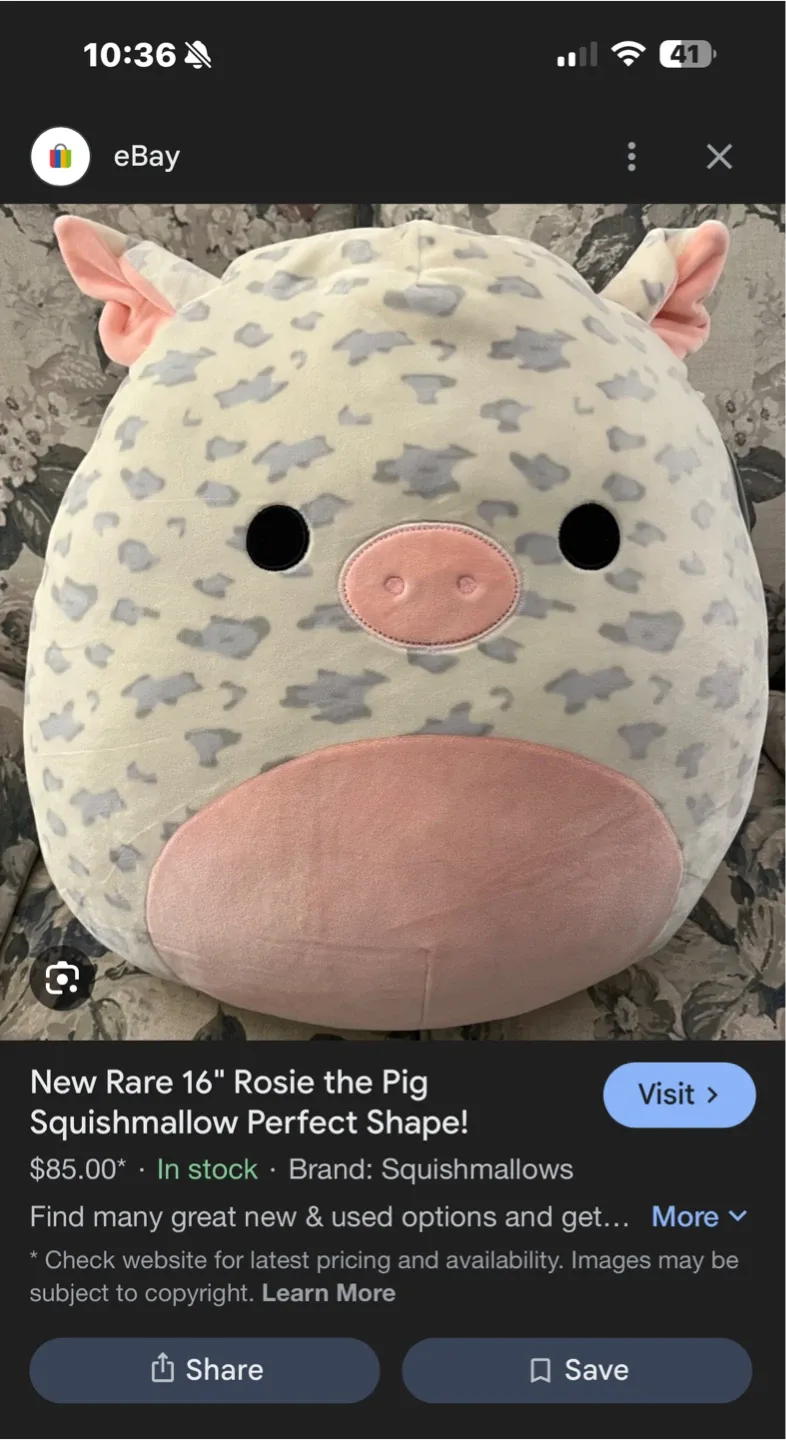 Squishmallows BNWT Rosie The Cow Plush 14” image indicator(10)