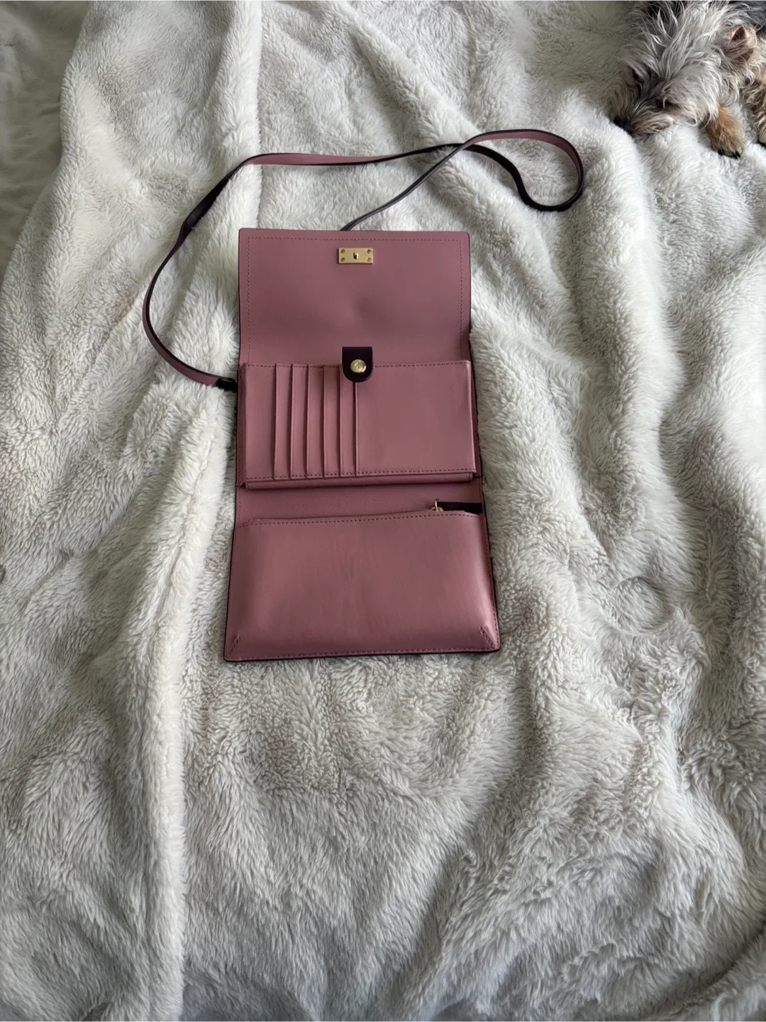 Kate Spade Leather Crossbody Wallet image indicator(2)