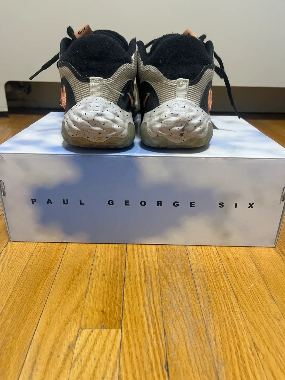 Nike Paul George PG 6 White/Crimson Bliss, Size 8 image indicator(2)