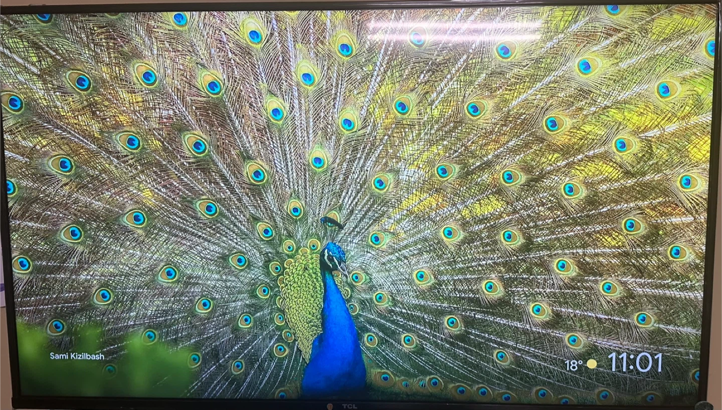 TCL smart TV