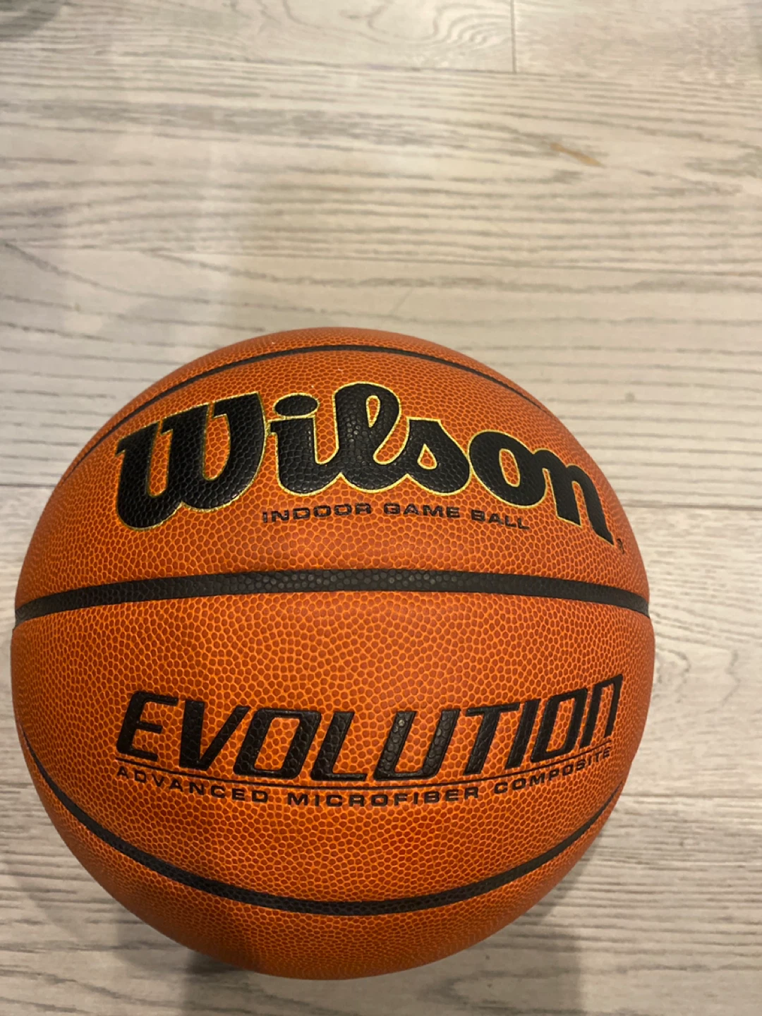 Wilson Evolution Indoor Game Basketball