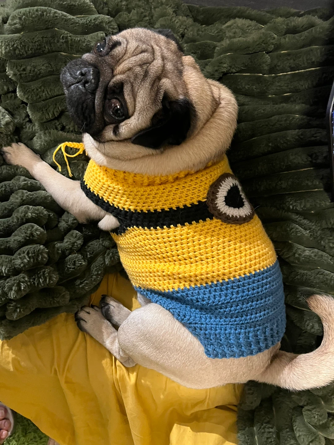 Handmade Crocheted Dog Sweaters - set of 3 - photo 3