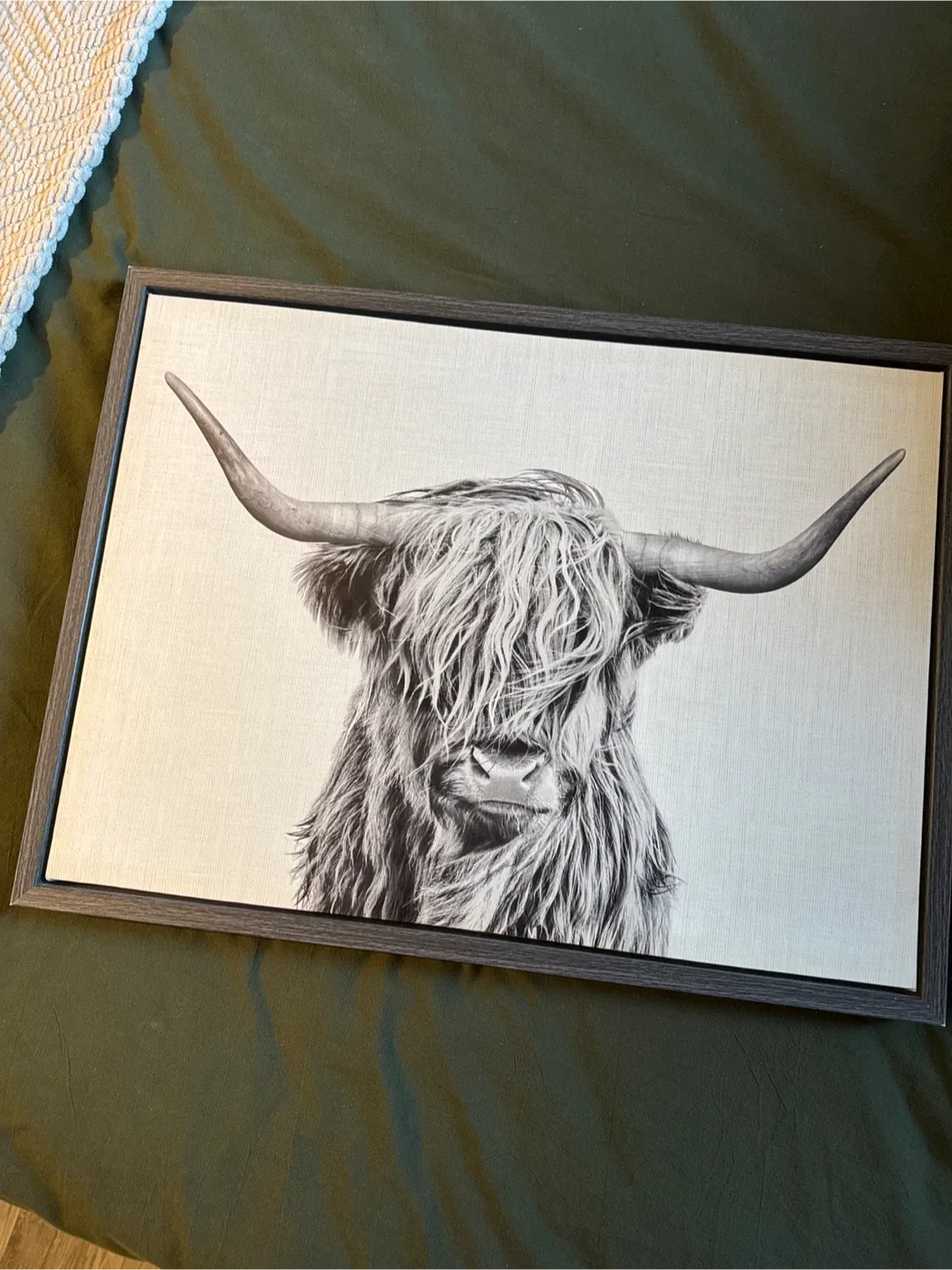 Framed Highland Cow Print thumbnail
