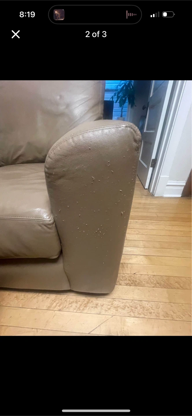 Leather couch with some cat scratches. - photo 3