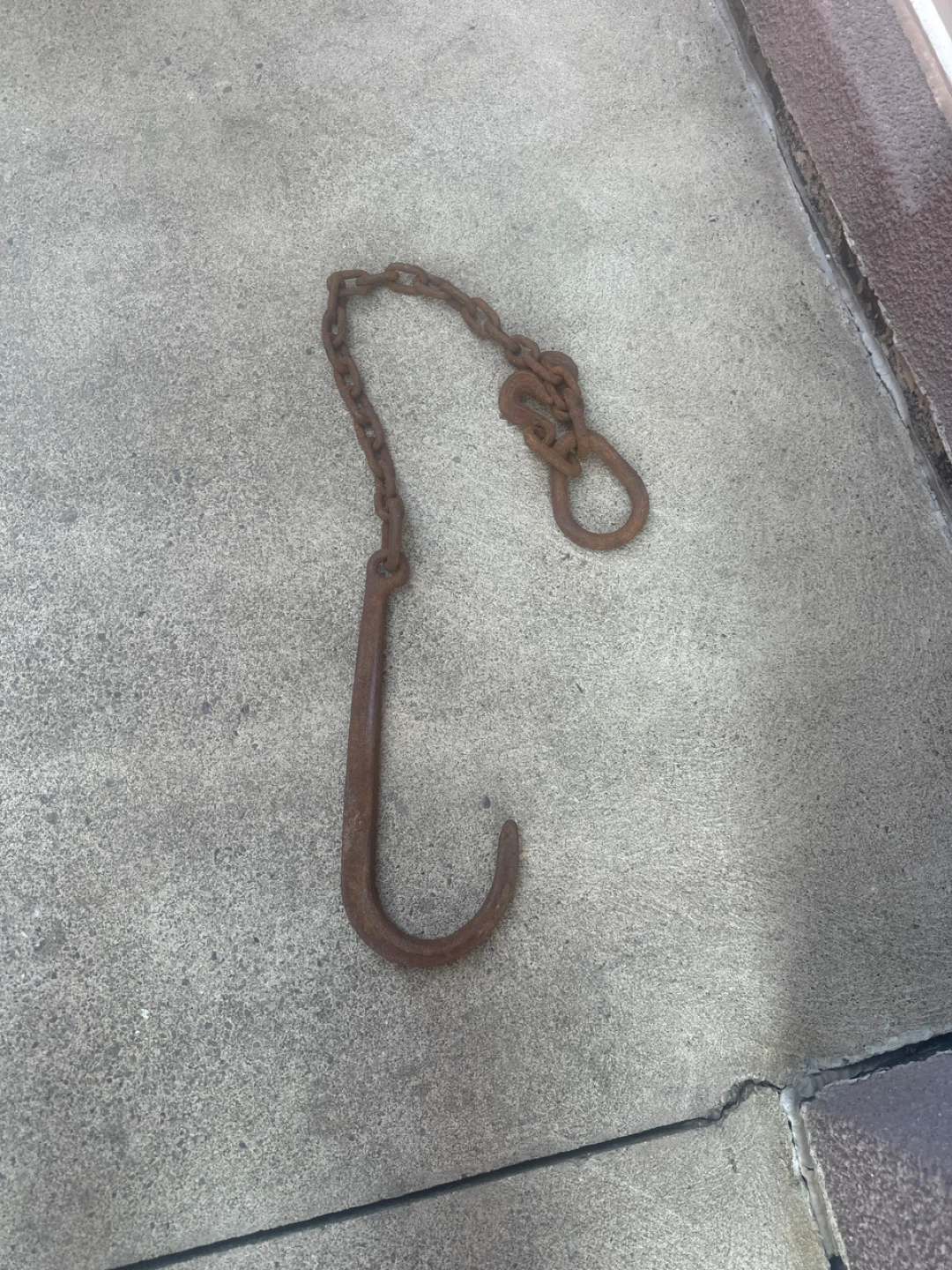 Chain with Hook - photo 2