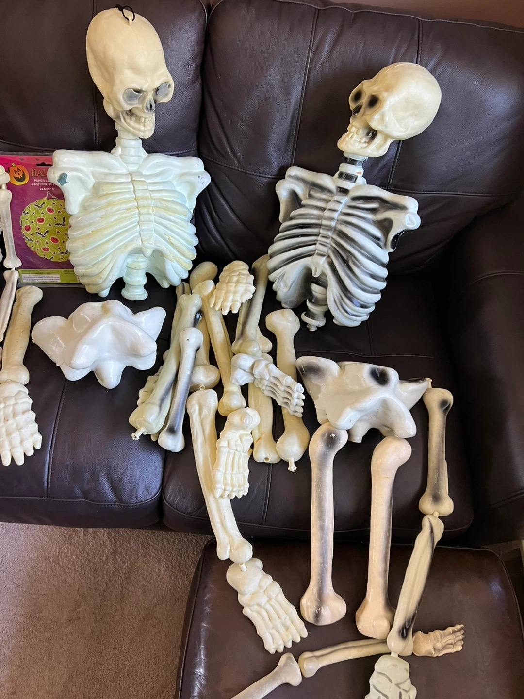 Halloween mixed bones  Skeletons - photo 2