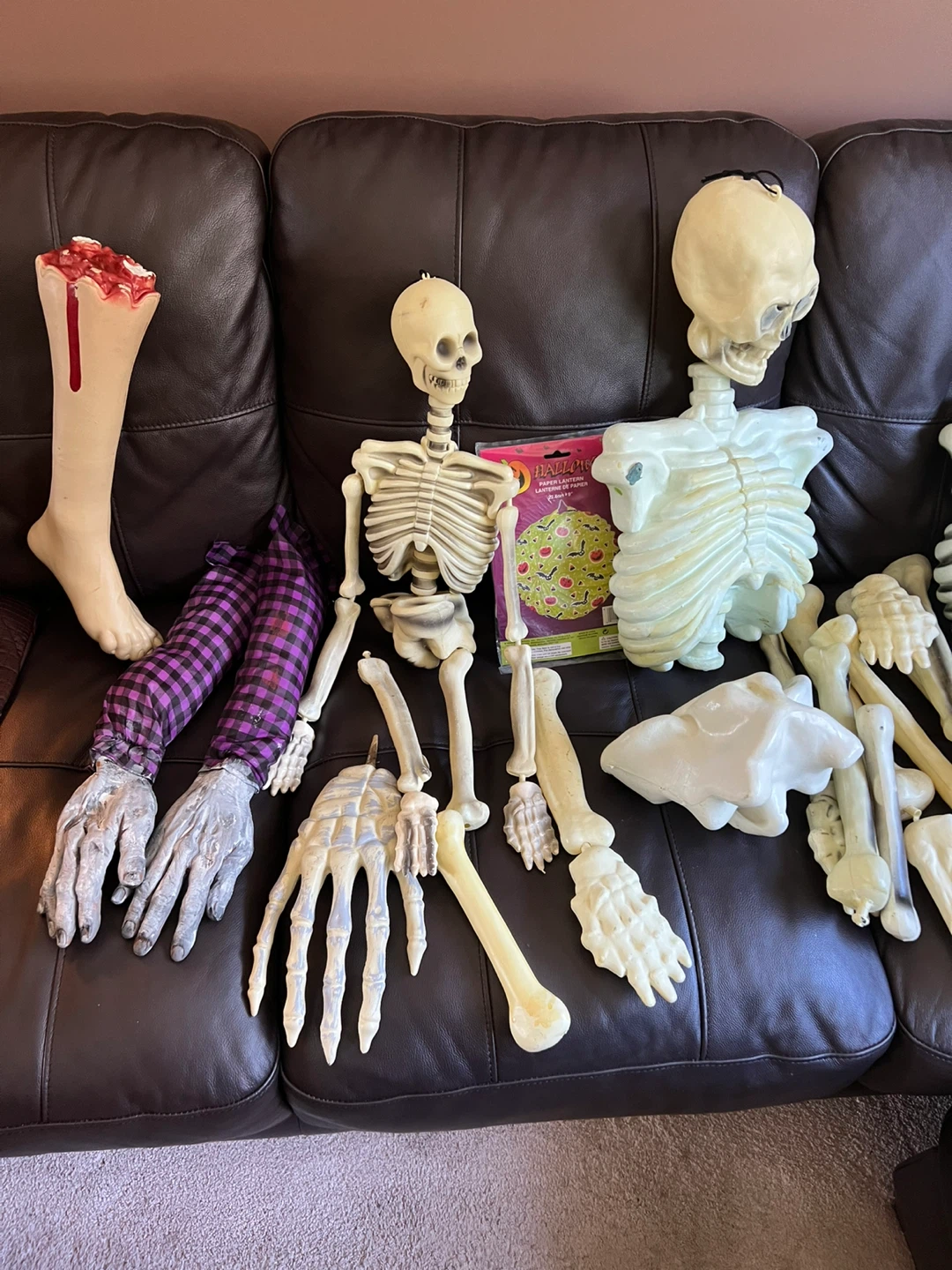 Halloween mixed bones  Skeletons - photo 3
