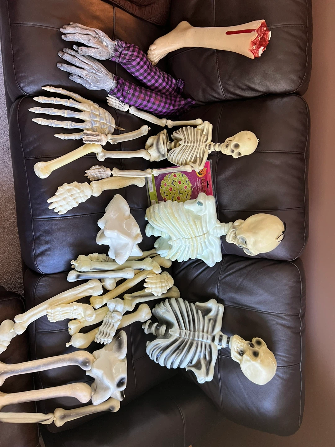 Halloween mixed bones  Skeletons - photo 4
