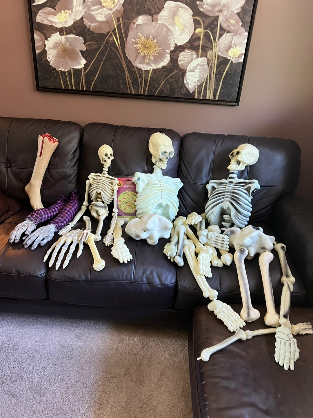 Halloween mixed bones  Skeletons