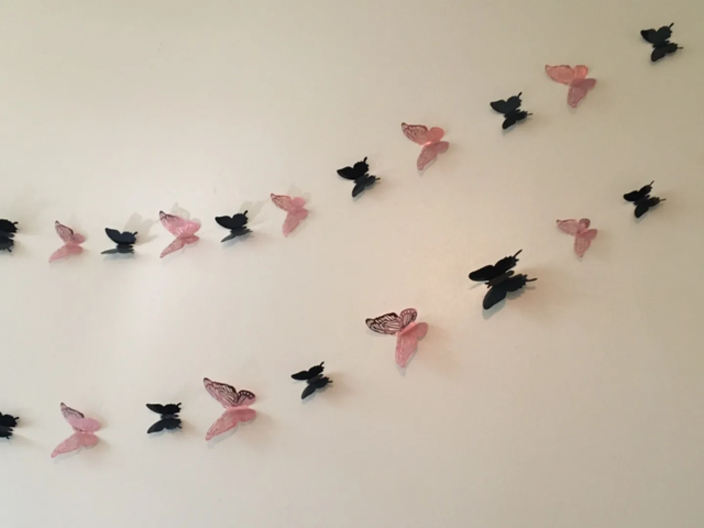 Butterfly Wall Decor - Black & Pink thumbnail