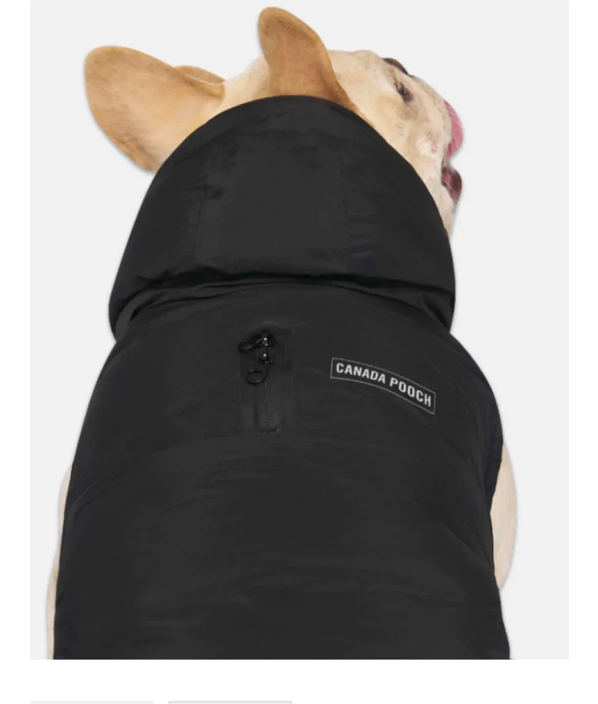 Canada Pooch Dog Puffer,Size 12 image indicator(4)