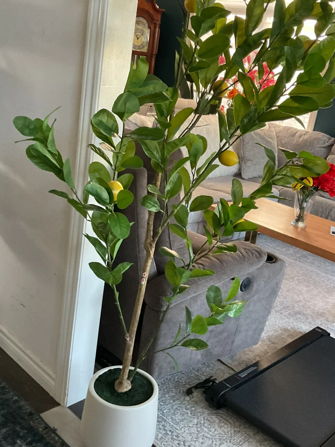 Lemon Tree image indicator(6)