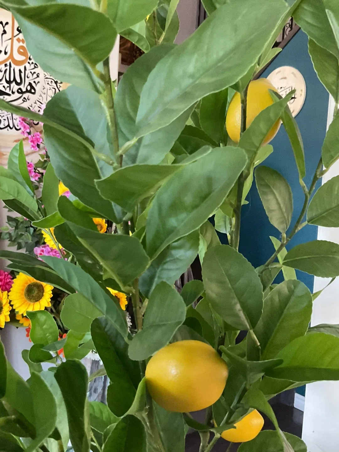 Lemon Tree image indicator(2)