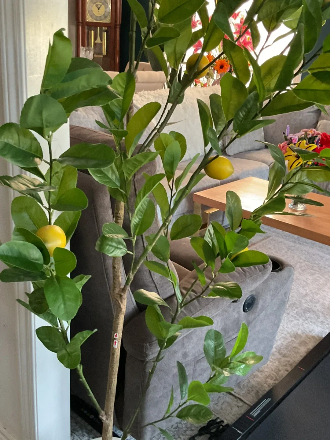 Lemon Tree image indicator(7)