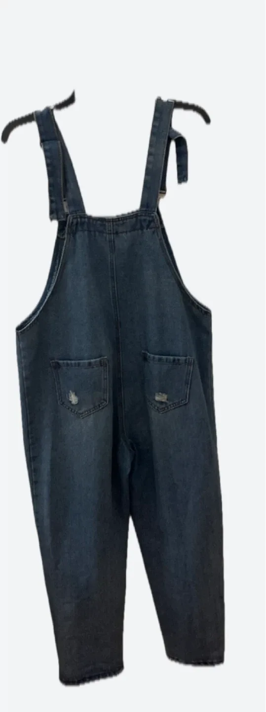 Denim Overalls image indicator(2)