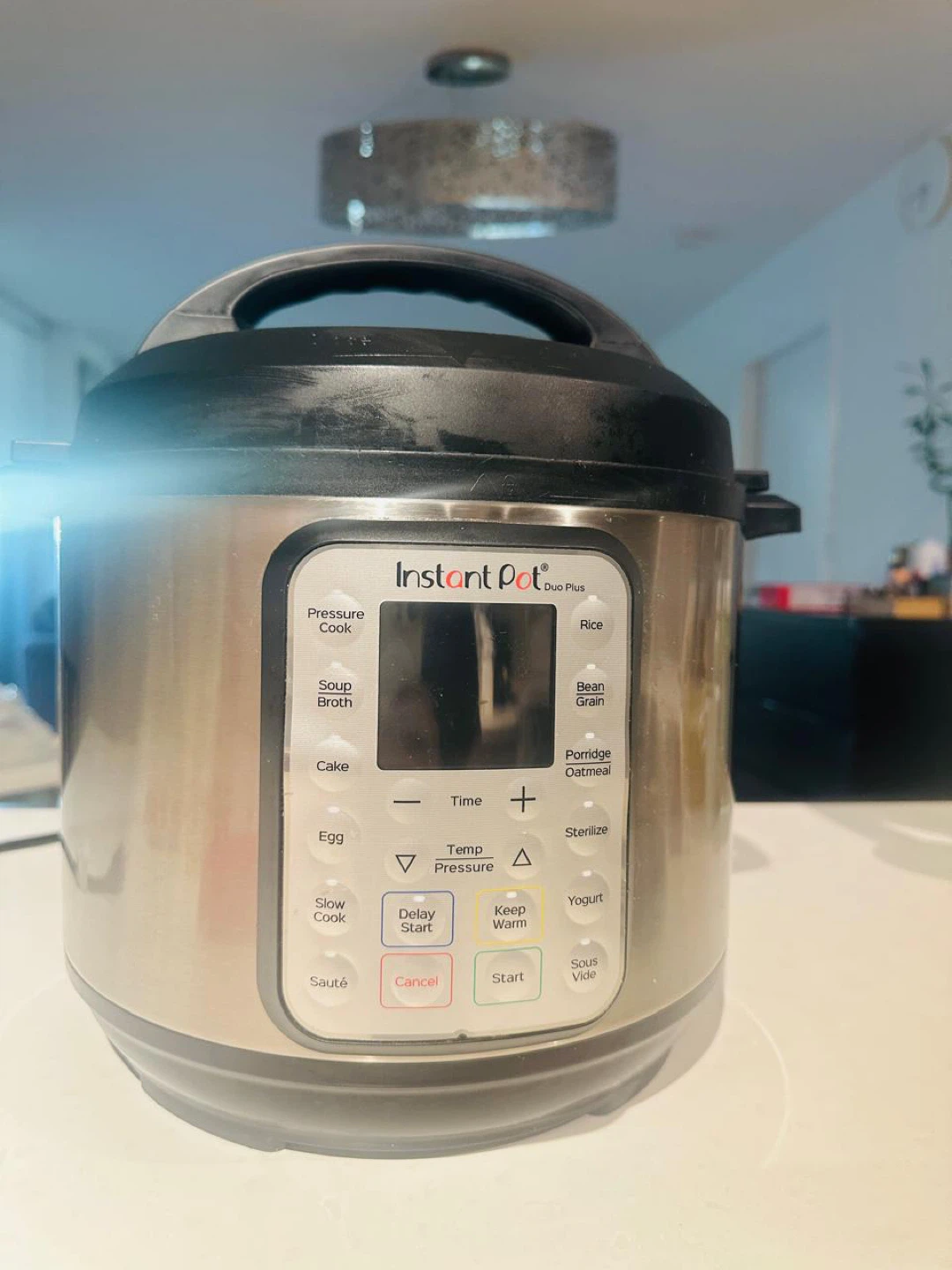 Instant Pot Duo Plus