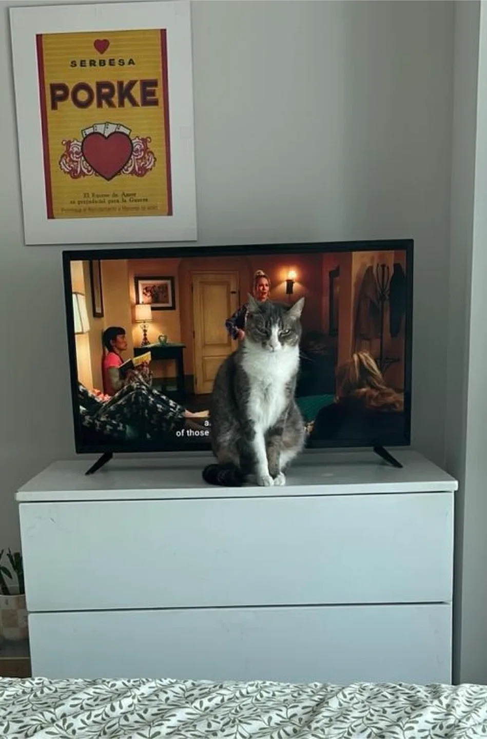 Insignia 32” Fire TV – Like New! image indicator(2)