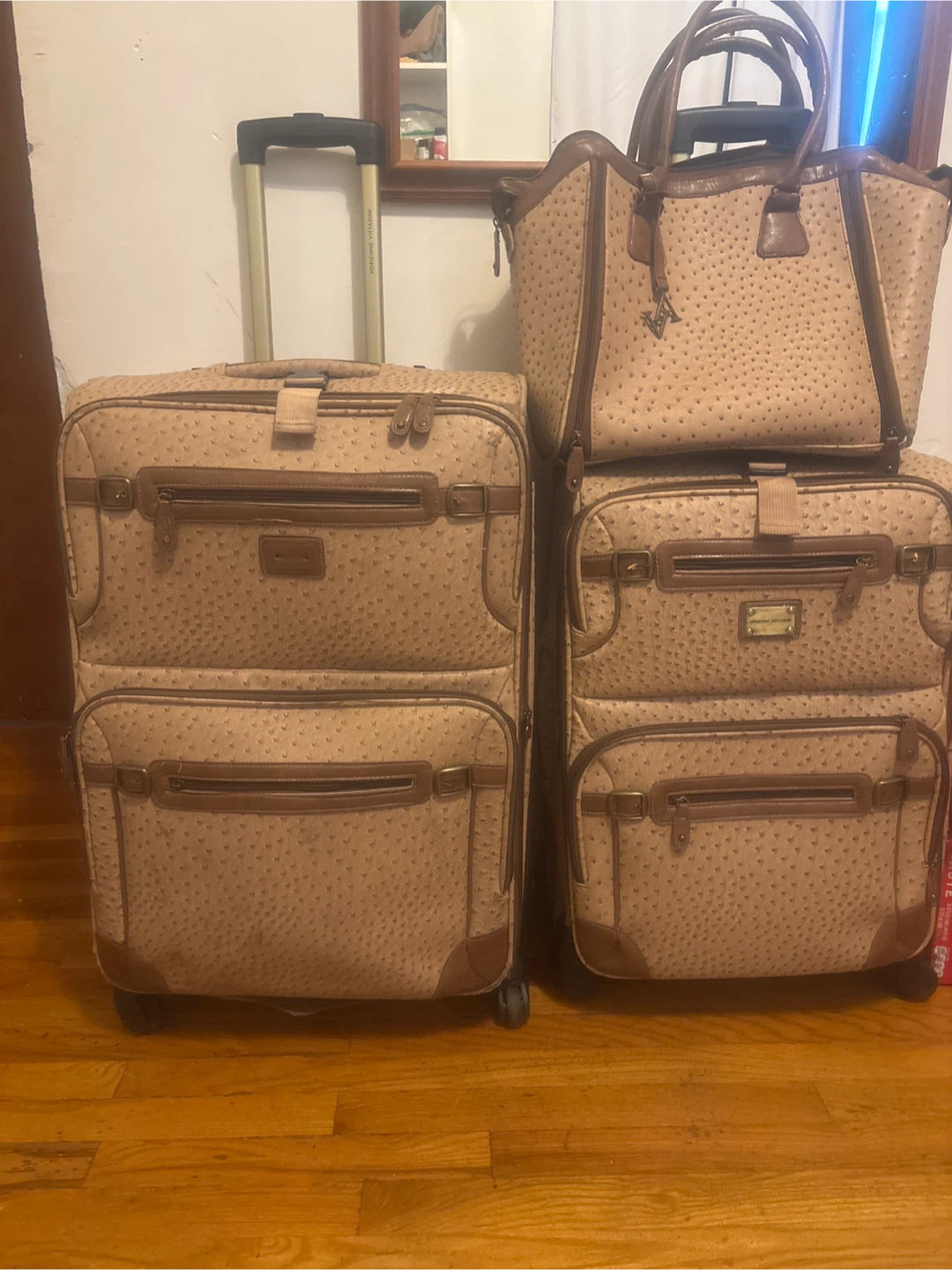 Adrienne Vittadini 3-Piece Luggage Set
