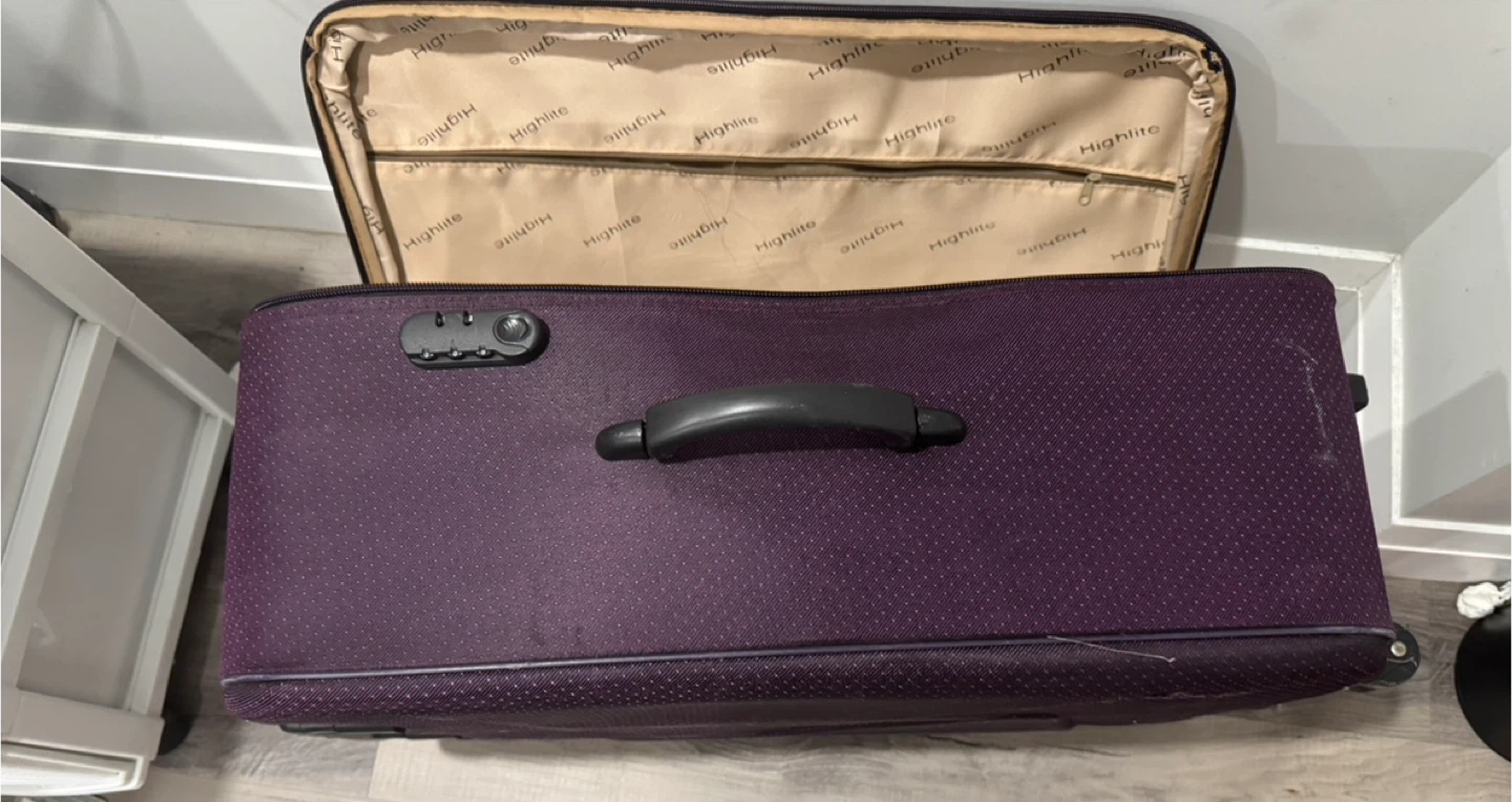 Highlite Purple Suitcase Checked Luggage - photo 4