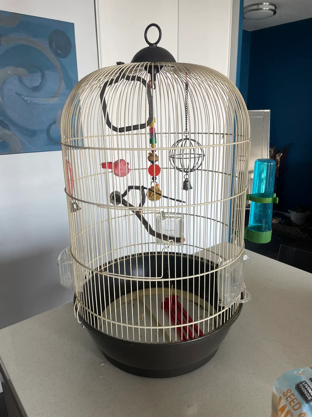 Bird Cage with Accessories🥕 thumbnail