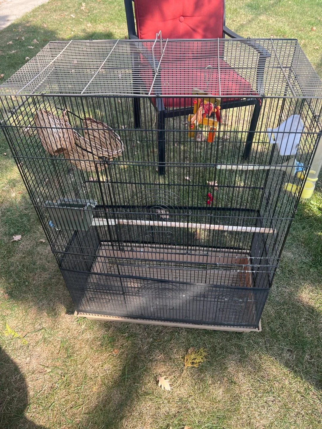 Bird Cage - Black image indicator(2)