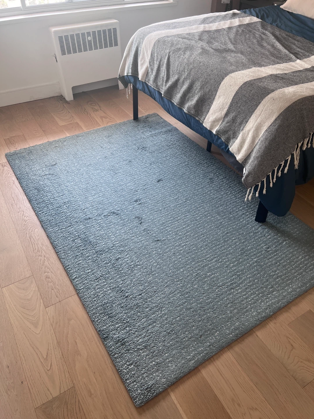 Blue Area Rug