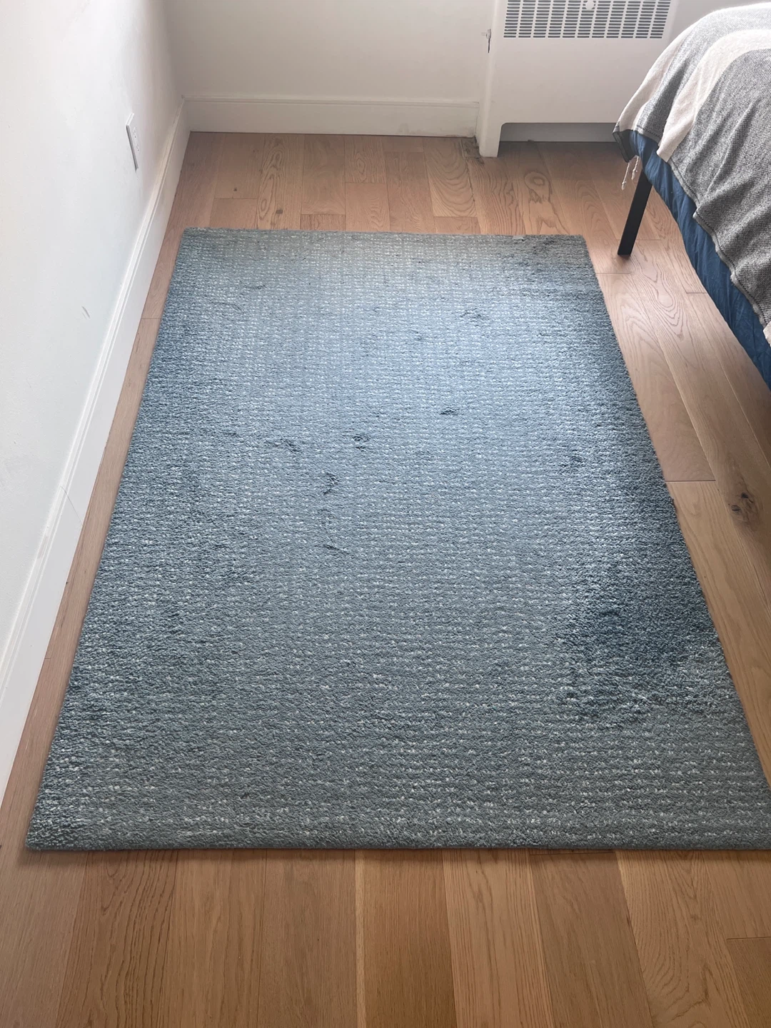 Blue Area Rug - photo 3