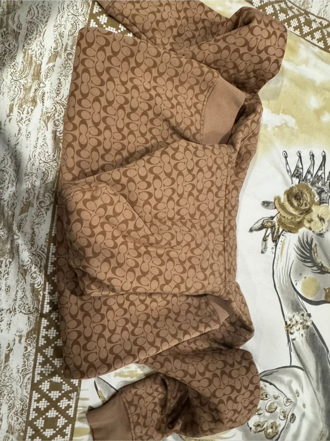 Hoodie image indicator(2)