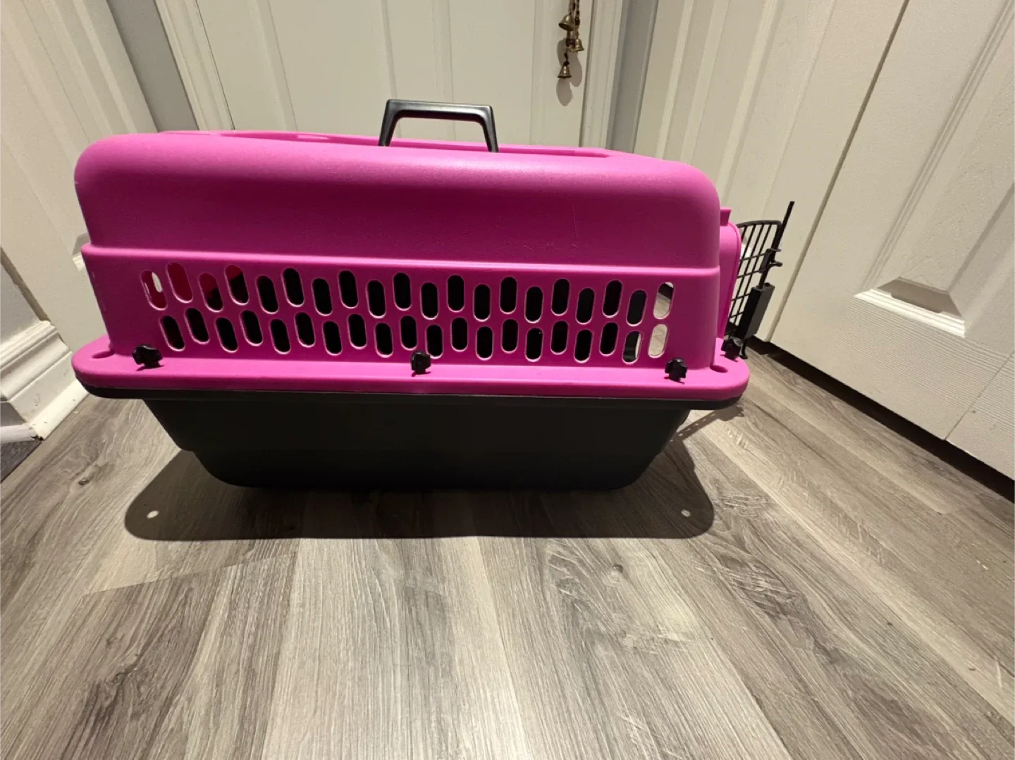 Great Choice Pink Pet Carrier thumbnail
