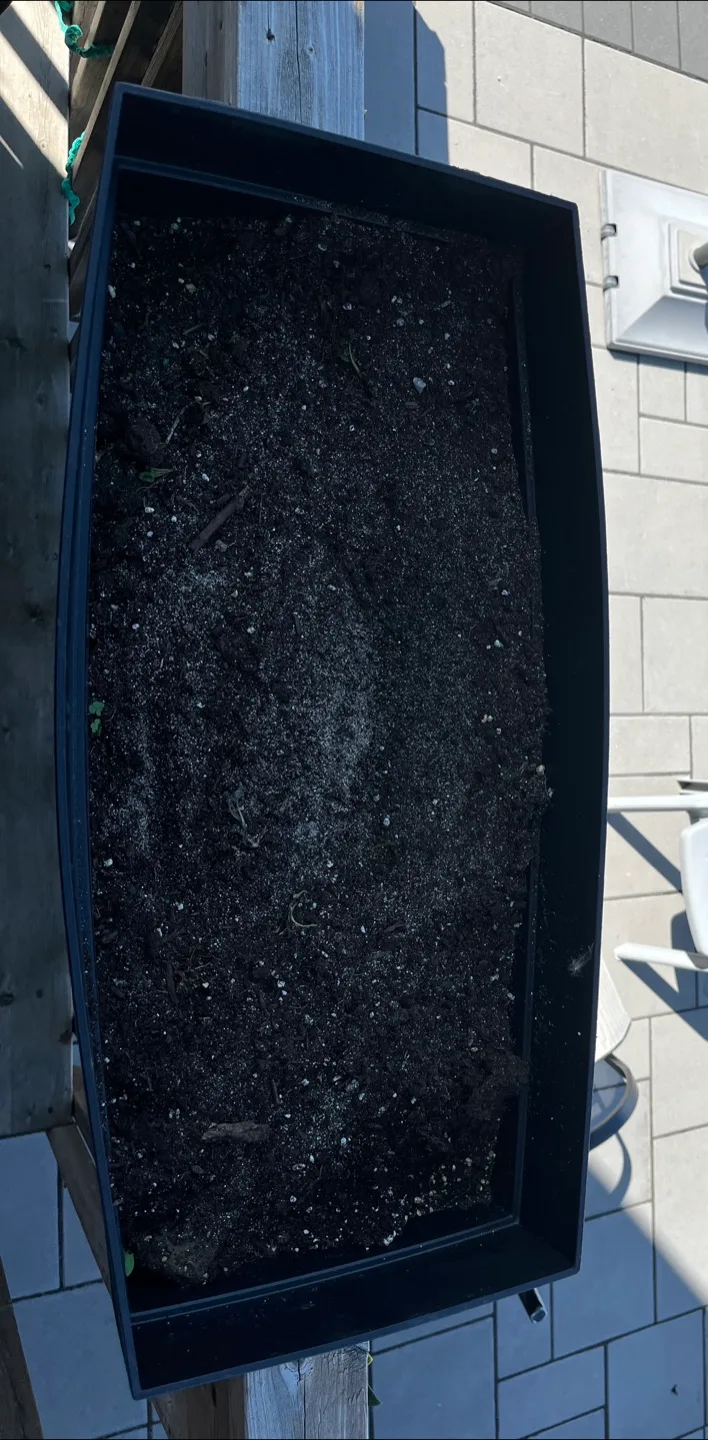 Self-Watering Deck Rail Planter Box with organic soil image indicator(2)