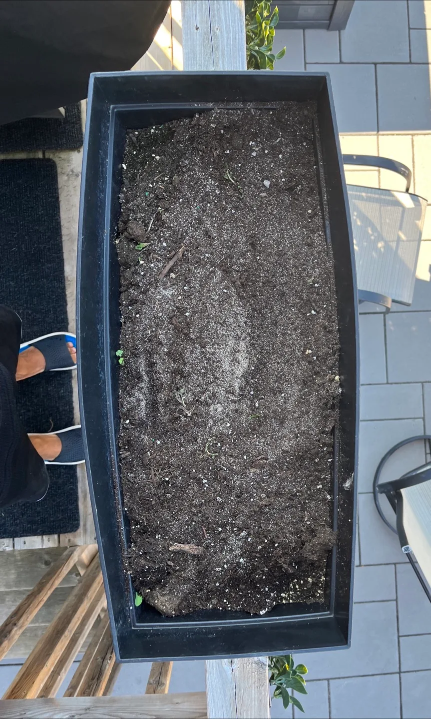 Self-Watering Deck Rail Planter Box with organic soil image indicator(4)