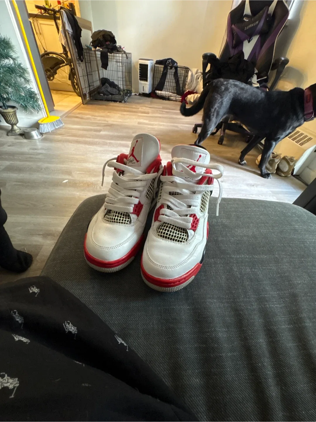 Air Jordan 4 Retro Fire Red image indicator(2)