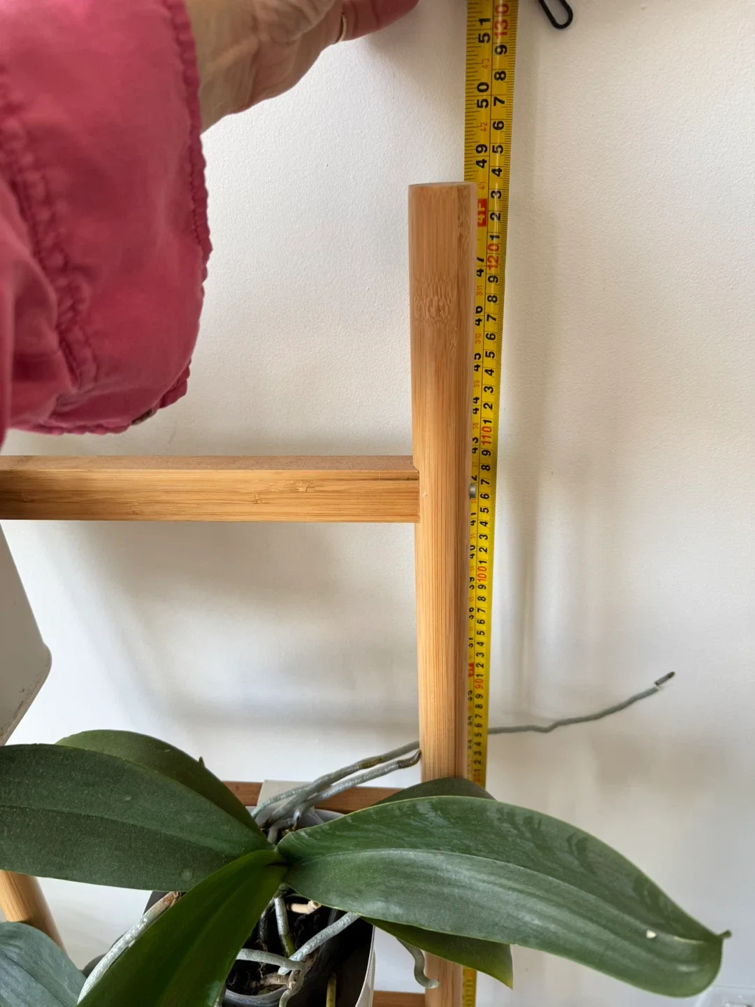 Plant Ladder Shelf image indicator(5)