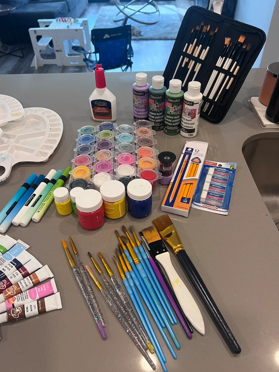 Acrylic Paint Set with Brushes & Palettes