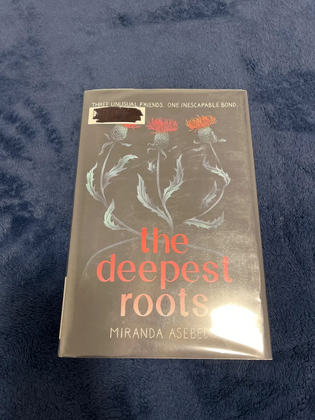 Mixed Lot of Books: Fifty Shades, Ruin and Rising image indicator(3)