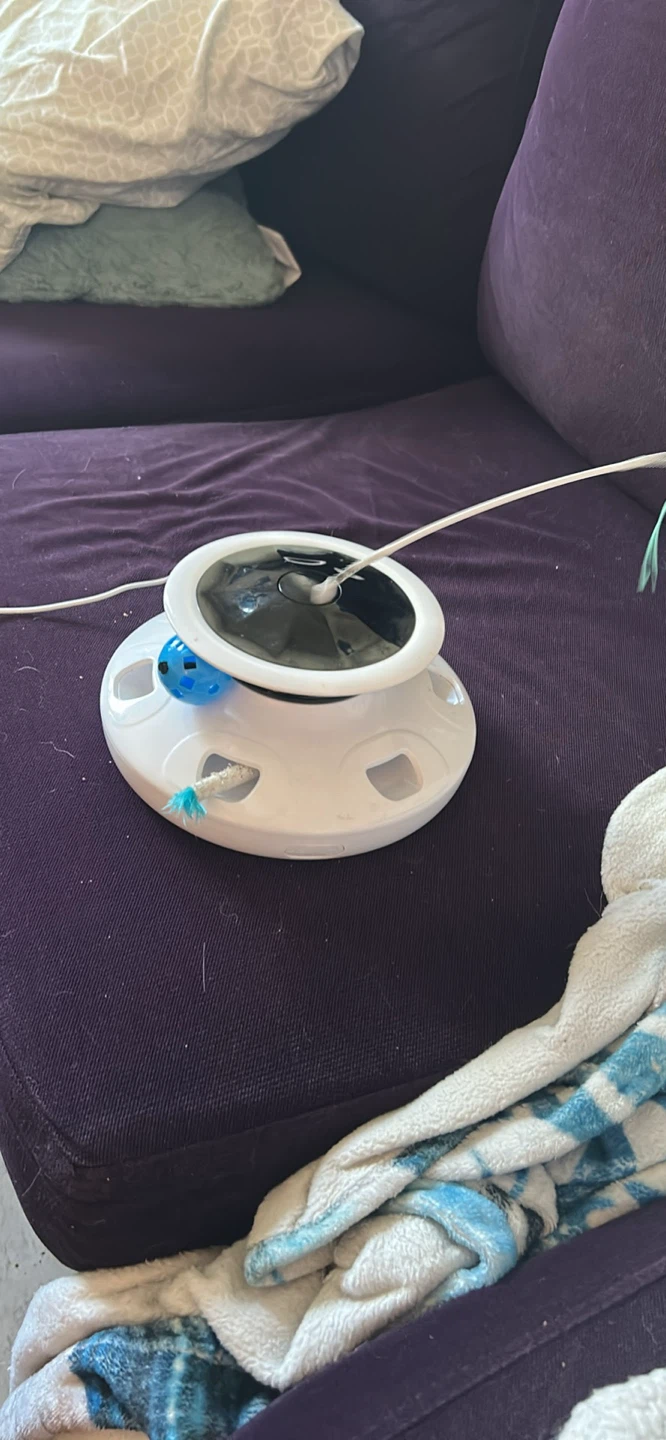 Interactive Cat Toy