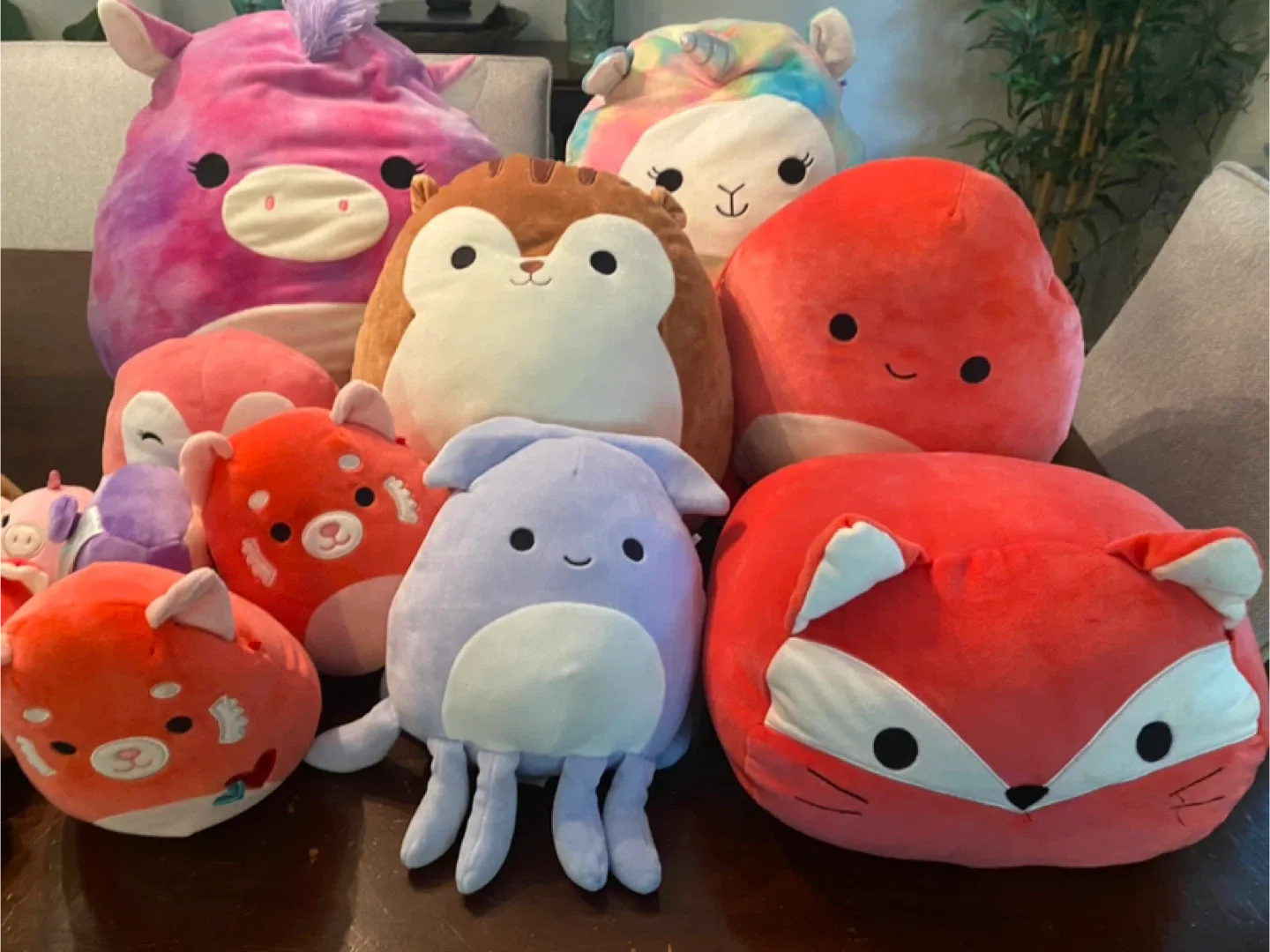 Squishmallows Plush Collection image indicator(3)