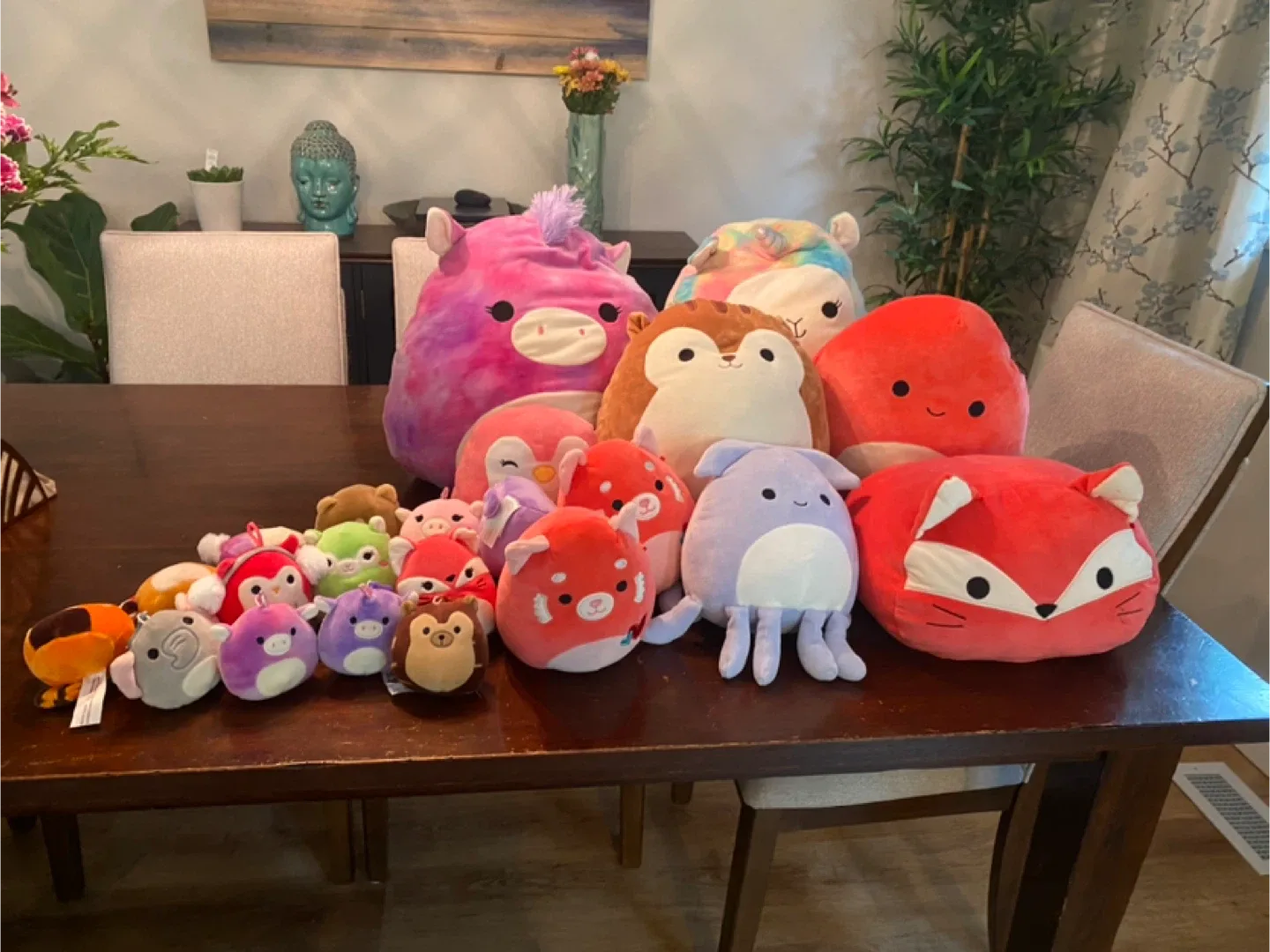 Squishmallows Plush Collection image indicator(5)