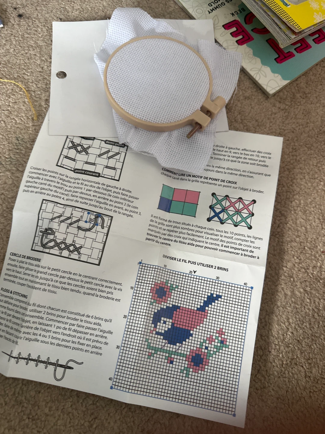 Embroidery Hoop with Aida Cloth & Pattern